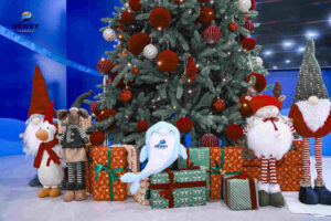 không-khí-giáng-sinh-cover