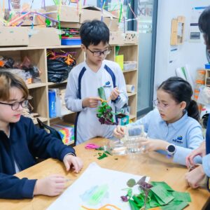 Tiết-học-MDE-Khối-5-5