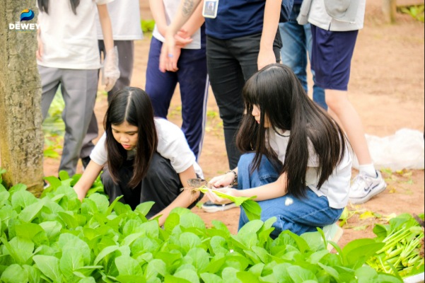 trai-nghiem-dong-ruong-03