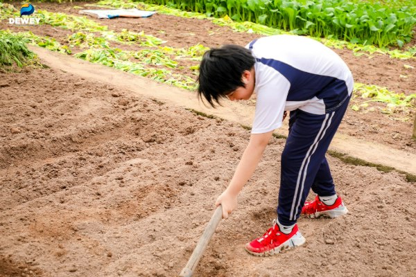 trai-nghiem-dong-ruong-04