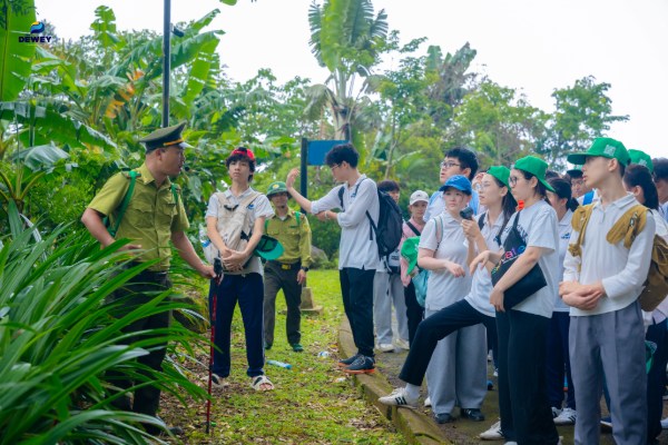 da-ngoai-03